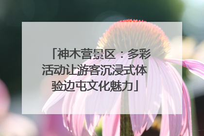 神木营景区：多彩活动让游客沉浸式体验边屯文化魅力