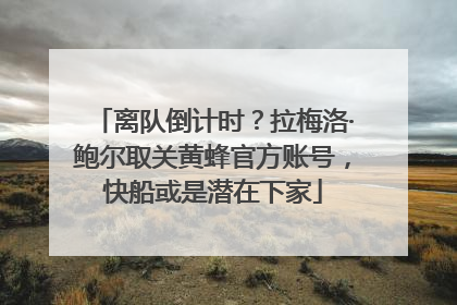 离队倒计时？拉梅洛·鲍尔取关黄蜂官方账号，快船或是潜在下家