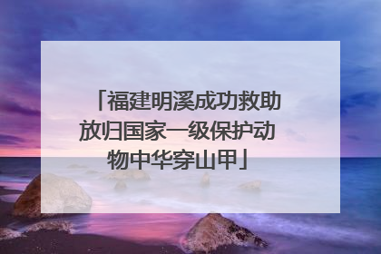 福建明溪成功救助放归国家一级保护动物中华穿山甲