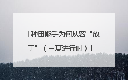 种田能手为何从容“放手”（三夏进行时）