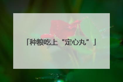 种粮吃上“定心丸”