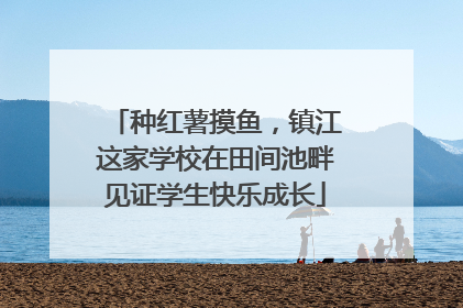 种红薯摸鱼，镇江这家学校在田间池畔见证学生快乐成长