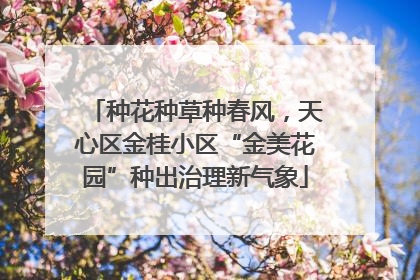 种花种草种春风，天心区金桂小区“金美花园”种出治理新气象