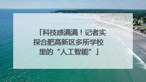 科技感满满！记者实探合肥高新区多所学校里的“人工智能”