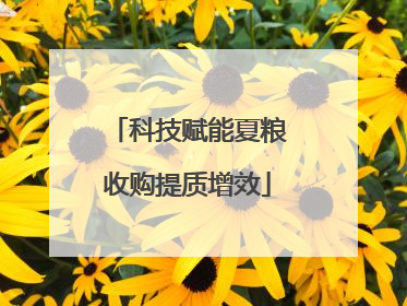 科技赋能夏粮收购提质增效