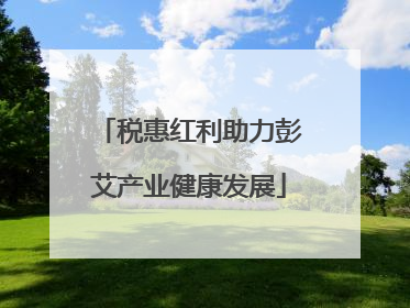 税惠红利助力彭艾产业健康发展