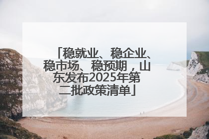 稳就业、稳企业、稳市场、稳预期，山东发布2025年第二批政策清单