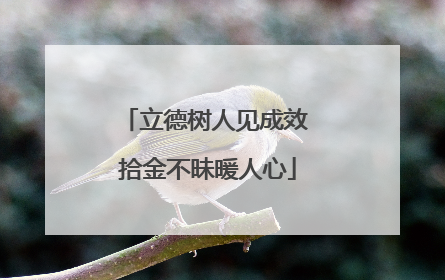 立德树人见成效 拾金不昧暖人心
