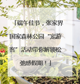 端午佳节，张家界国家森林公园“宠游客”活动带你解锁松弛感假期！