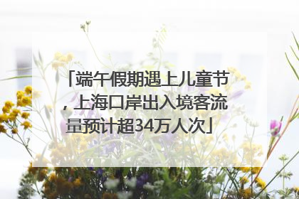 端午假期遇上儿童节，上海口岸出入境客流量预计超34万人次