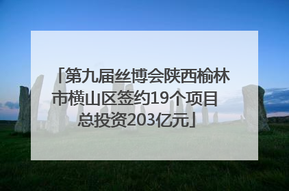 第九届丝博会陕西榆林市横山区签约19个项目 总投资203亿元