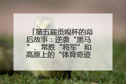第五届贡嘎杯的幕后故事：逆袭“黑马”、常胜“将军”和高原上的“体育奇迹”丨微纪录