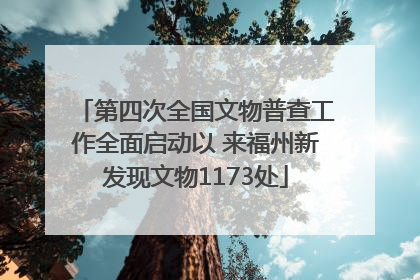第四次全国文物普查工作全面启动以 来福州新发现文物1173处