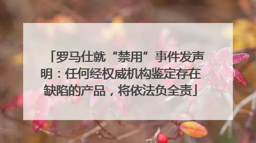 罗马仕就“禁用”事件发声明：任何经权威机构鉴定存在缺陷的产品，将依法负全责