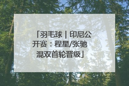 羽毛球｜印尼公开赛：程星/张驰混双首轮晋级