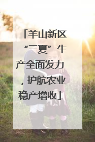 羊山新区“三夏”生产全面发力，护航农业稳产增收