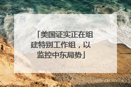 美国证实正在组建特别工作组，以监控中东局势