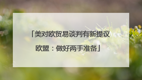 美对欧贸易谈判有新提议 欧盟：做好两手准备