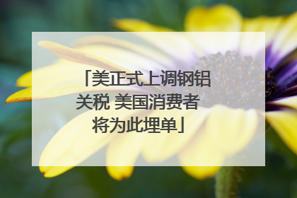 美正式上调钢铝关税 美国消费者将为此埋单