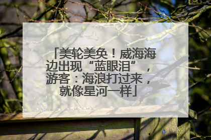 美轮美奂！威海海边出现“蓝眼泪”，游客：海浪打过来，就像星河一样