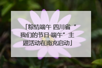 粽情端午 四川省“我们的节日·端午”主题活动在南充启动