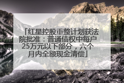 红星控股重整计划获法院批准：普通债权中每户25万元以下部分，六个月内全额现金清偿