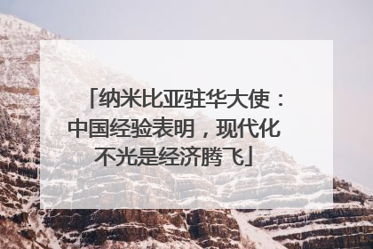 纳米比亚驻华大使：中国经验表明，现代化不光是经济腾飞