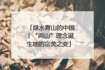 绿水青山的中国丨“两山”理念诞生地的富美之变