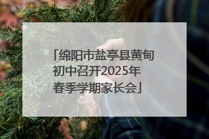 绵阳市盐亭县黄甸初中召开2025年春季学期家长会