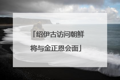 绍伊古访问朝鲜 将与金正恩会面