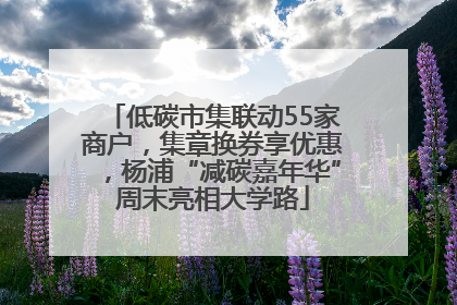 低碳市集联动55家商户，集章换券享优惠，杨浦“减碳嘉年华”周末亮相大学路