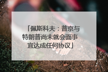 佩斯科夫：普京与特朗普尚未就会面事宜达成任何协议
