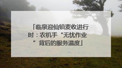 临泉迎仙镇麦收进行时：农机手“无忧作业”背后的服务温度