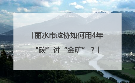 丽水市政协如何用4年“碳”讨“金矿”？