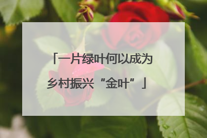 一片绿叶何以成为乡村振兴“金叶”