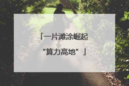 一片滩涂崛起“算力高地”