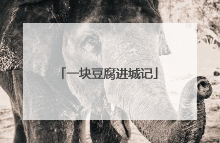 一块豆腐进城记