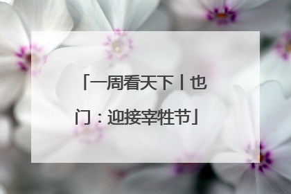 一周看天下丨也门：迎接宰牲节