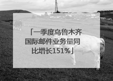 一季度乌鲁木齐国际邮件业务量同比增长151%