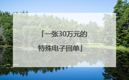 一张30万元的特殊电子回单