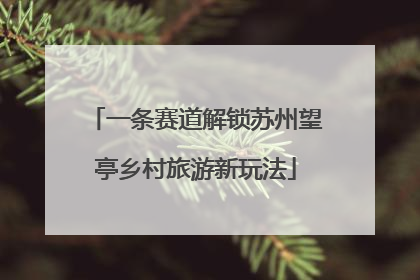 一条赛道解锁苏州望亭乡村旅游新玩法