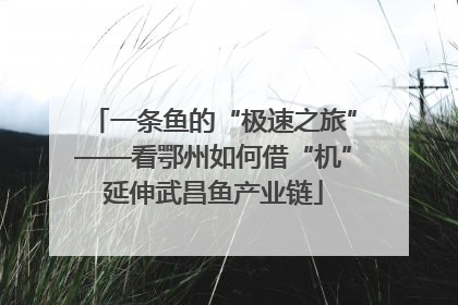一条鱼的“极速之旅”——看鄂州如何借“机”延伸武昌鱼产业链