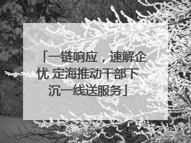 一链响应，速解企忧 定海推动干部下沉一线送服务