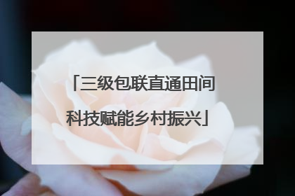 三级包联直通田间 科技赋能乡村振兴