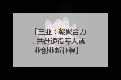 三亚：凝聚合力，共赴退役军人就业创业新征程