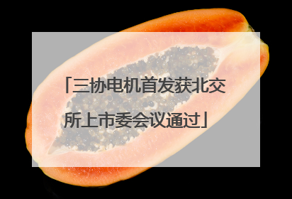三协电机首发获北交所上市委会议通过