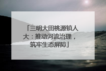 三明大田桃源镇人大：推动河流治理，筑牢生态屏障