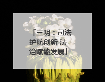 三明：司法护航创新 法治赋能发展