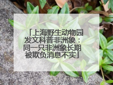 上海野生动物园发文科普非洲象：同一只非洲象长期被欺负消息不实