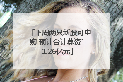 下周两只新股可申购 预计合计募资11.26亿元